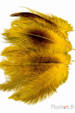 Gru comune - 10-14 cm - giallo-grigi